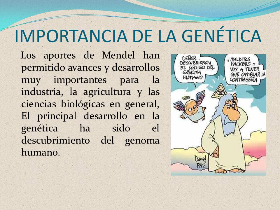 importancia genética mendeliana